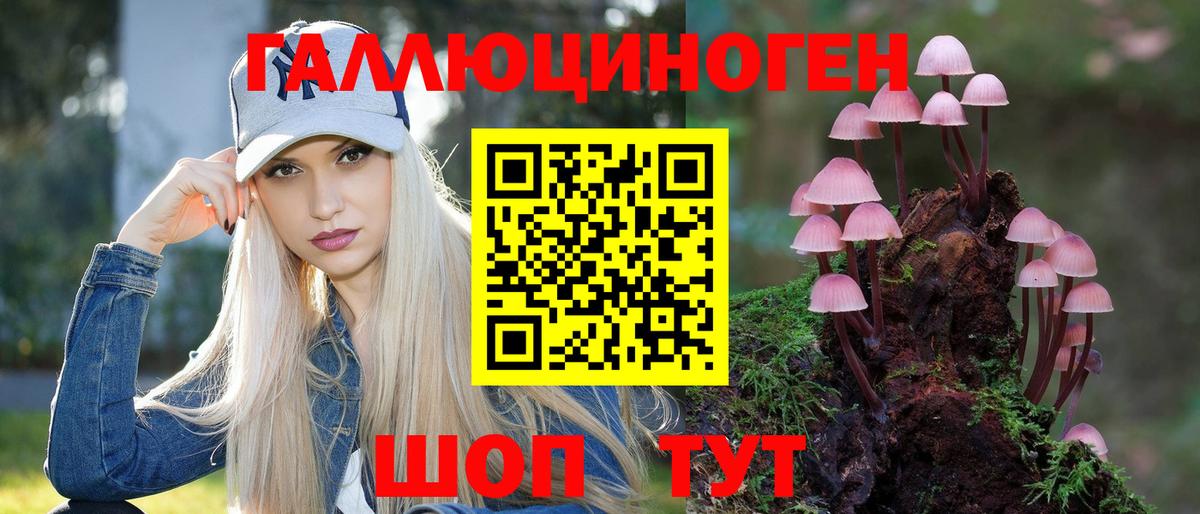 Красногорск  Псилоцибиновые грибы Cubensis  Вход с VPN 